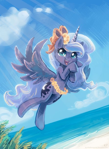 pony fly.jpg